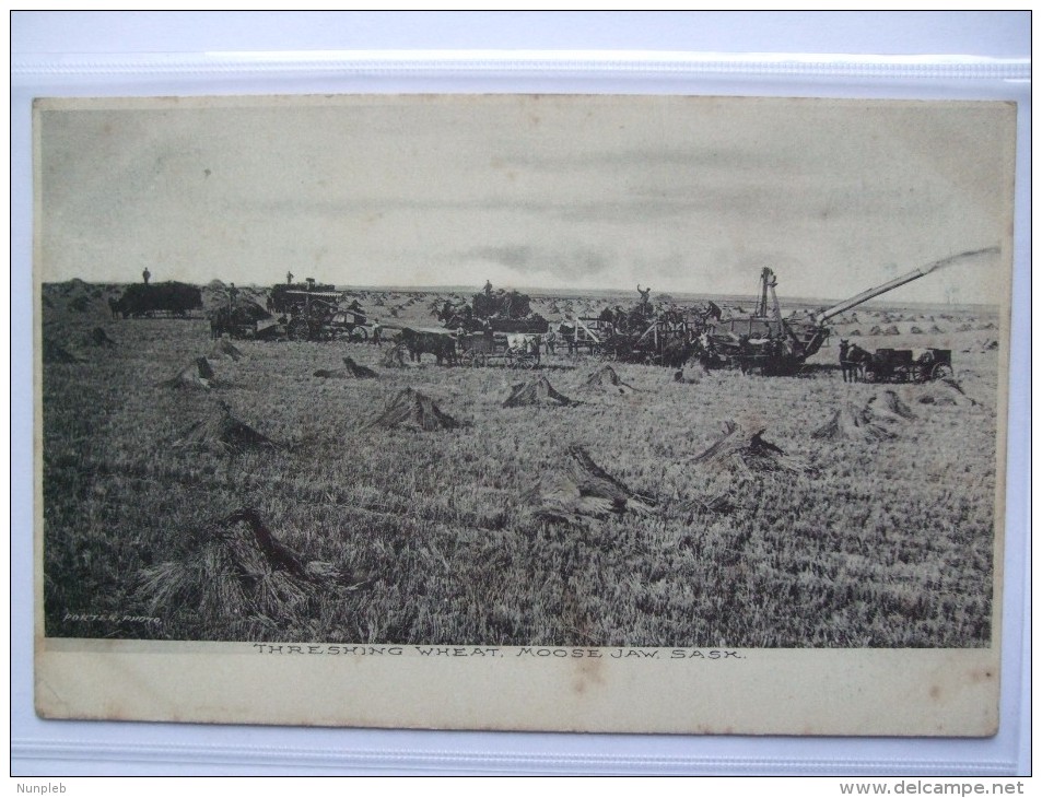 CANADA MOOSE JAW SASK. THRESHING WHEAT - Otros & Sin Clasificación