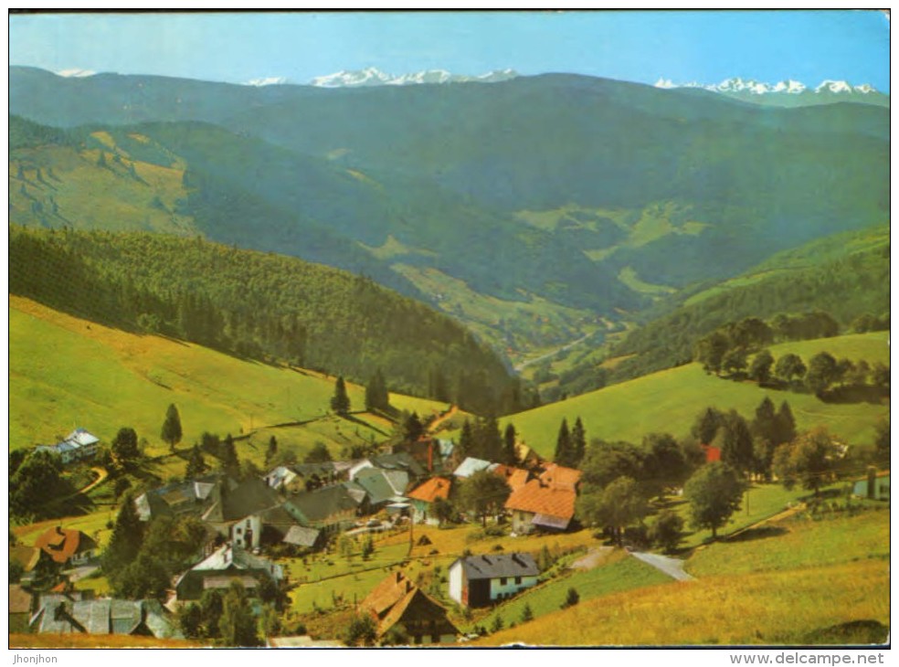 Germany - Postcard Circulated In 1981 -  Todtnauberg  - 2/scans - Todtnau