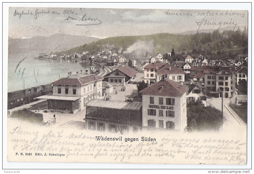 WÄDENSWIL Gegen Süden: Hotel Du Lac, Bahnhof, Zug 1905 - Wädenswil