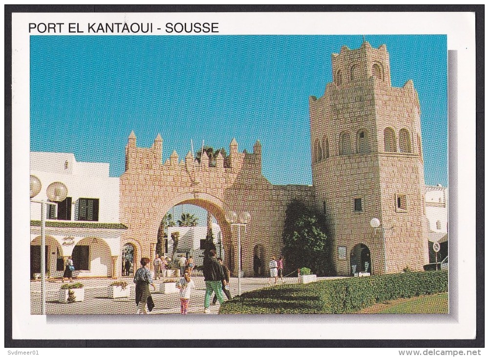 Tunisia: PPC Picture Postcard To Netherlands, 1998, 2 Stamps, Lizard, Flower, Card: Port El Kantoui (traces Of Use) - Tunesië (1956-...)