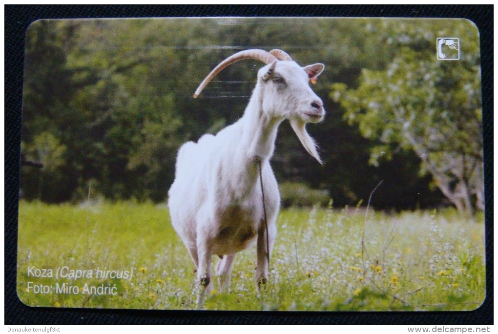 CROATIA 30 KN 2010 CHIP CARD GOAT, EXCELLENT QUALITY. - Kroatien