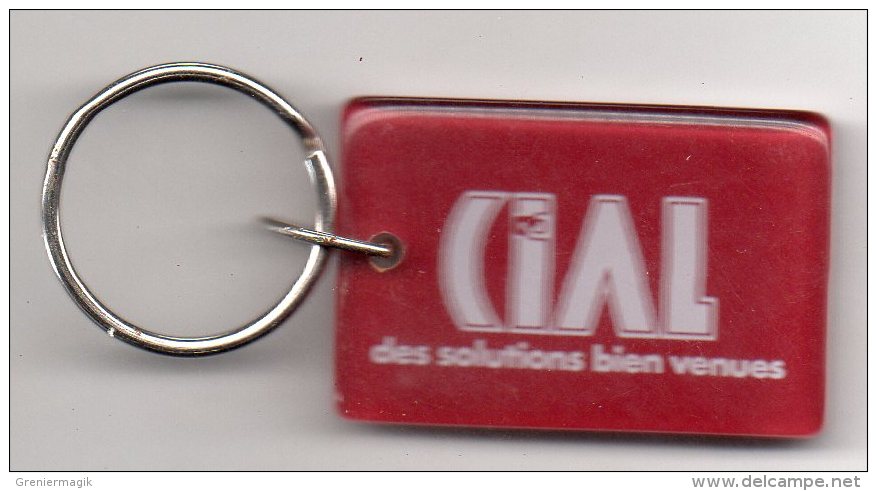 Porte Clefs Cial Des Solutions Bien Venues (Clé - Clés - Clef) - Porte-clefs