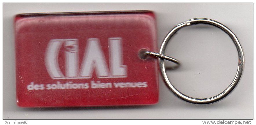 Porte Clefs Cial Des Solutions Bien Venues (Clé - Clés - Clef) - Porte-clefs