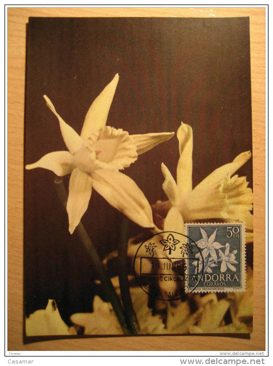 ANDORRA 1965 Flora Flowers Set 4 Maxi Maximum Card ANDORRE - Maximumkarten (MC)