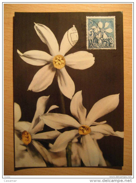 ANDORRA 1965 Flora Flowers Set 4 Maxi Maximum Card ANDORRE - Maximumkarten (MC)