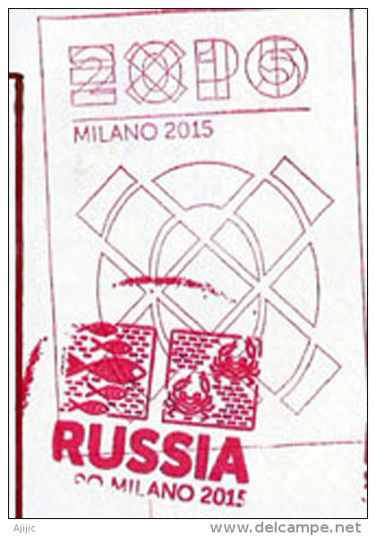 RUSSIE.EXPO MILANO 2015."NOURRIR LA PLANETE" Belle Lettre Du Pavillon De La Fédération De RUSSIE à MILAN, - 2015 – Milan (Italie)