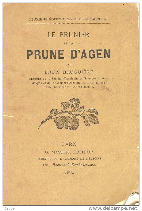 Louis Bruguière. - Le Prunier Et La Prune D'agen. - Aquitaine