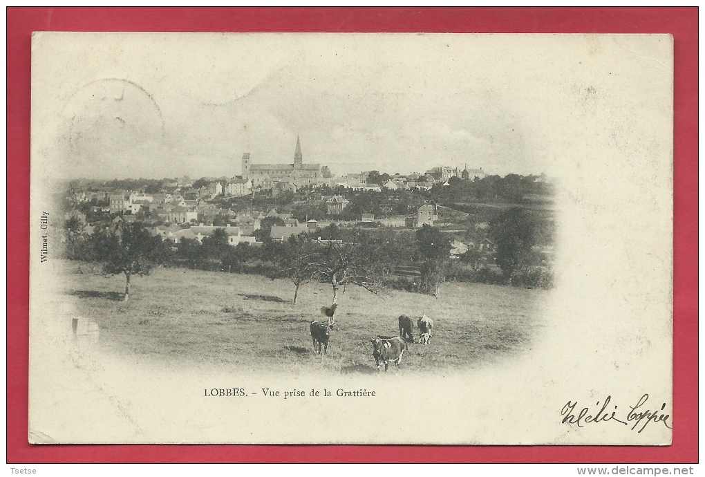 Lobbes - Vue Prise De La Grattière - édit : Wilmet, Gilly- 190? ( Voir Verso ) - Lobbes