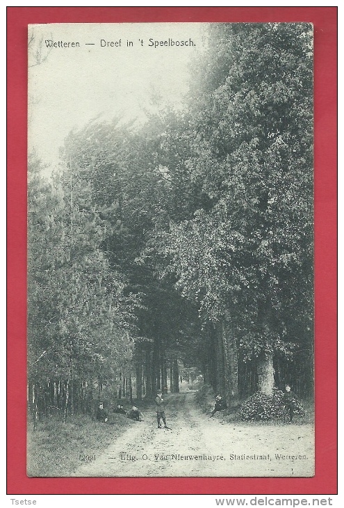 Wetteren - Dreef In 't Speelbosch - 1907 ( Verso Zien ) - Wetteren