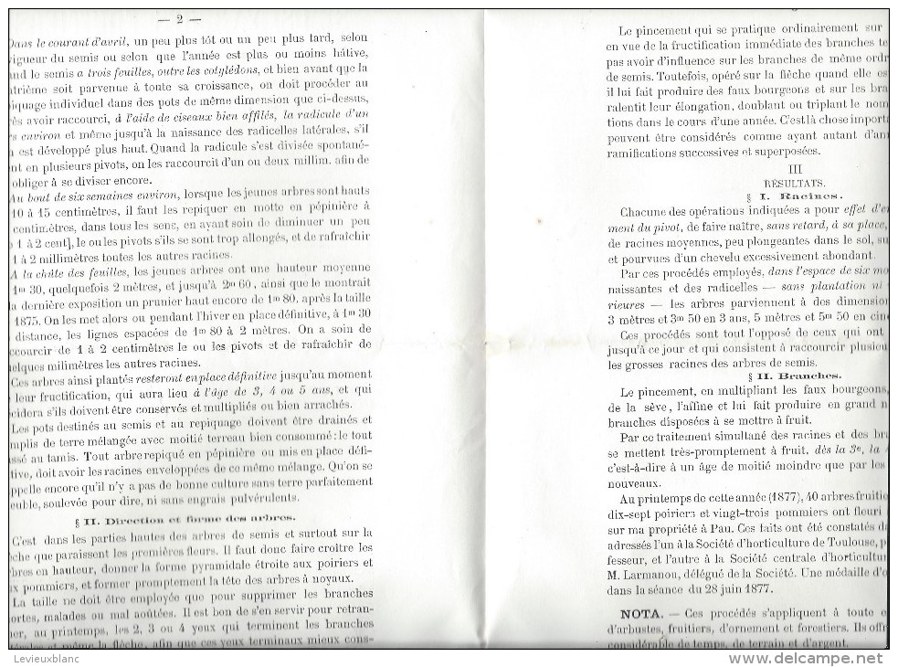 Notice/Botanique/Semis D´arbres Fruitiers/Expériences/Tourasse/PAU//1877    MDP58bis - 1801-1900