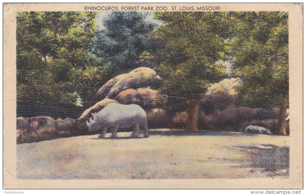 Neushoorn Rhinocéros Rhino Nashorn United States Forest Park Zoo St Louis Missouri Dierentuin Zoo Tiergarten Jardin - St Louis – Missouri