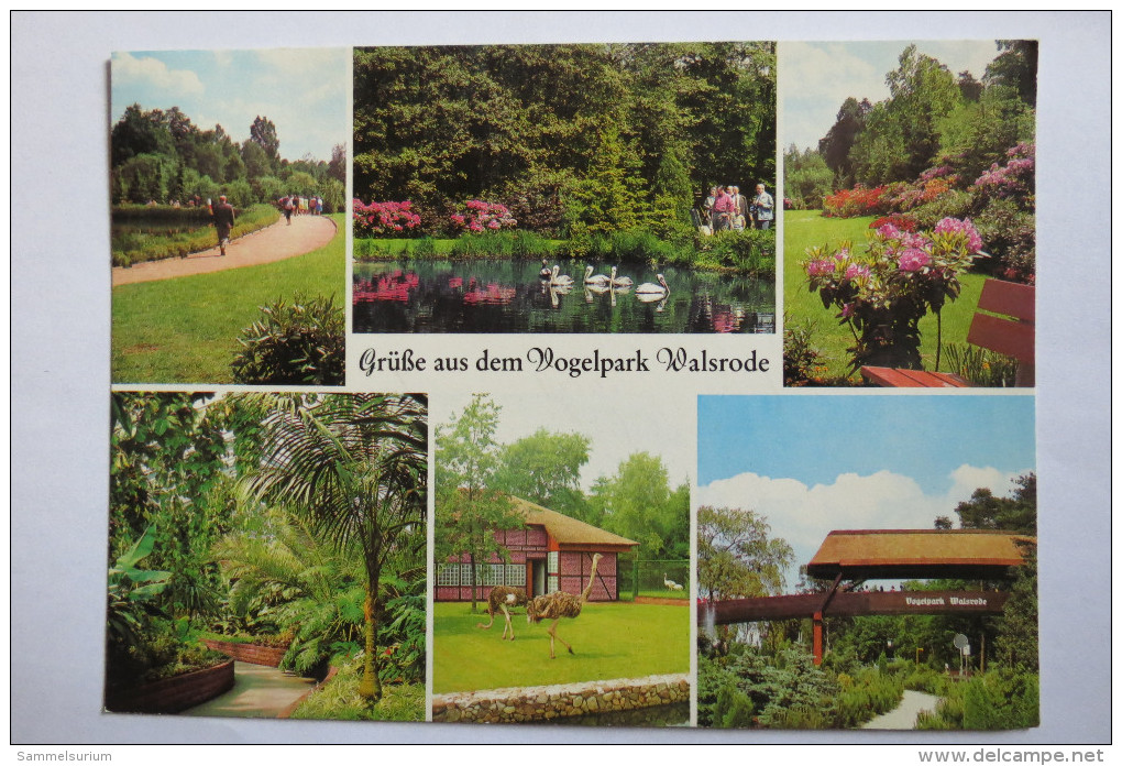(8/6/63) AK "Grüße Aus Dem Vogelpark Walsrode" Mehrbildkarte Mit 6 Ansichten - Walsrode