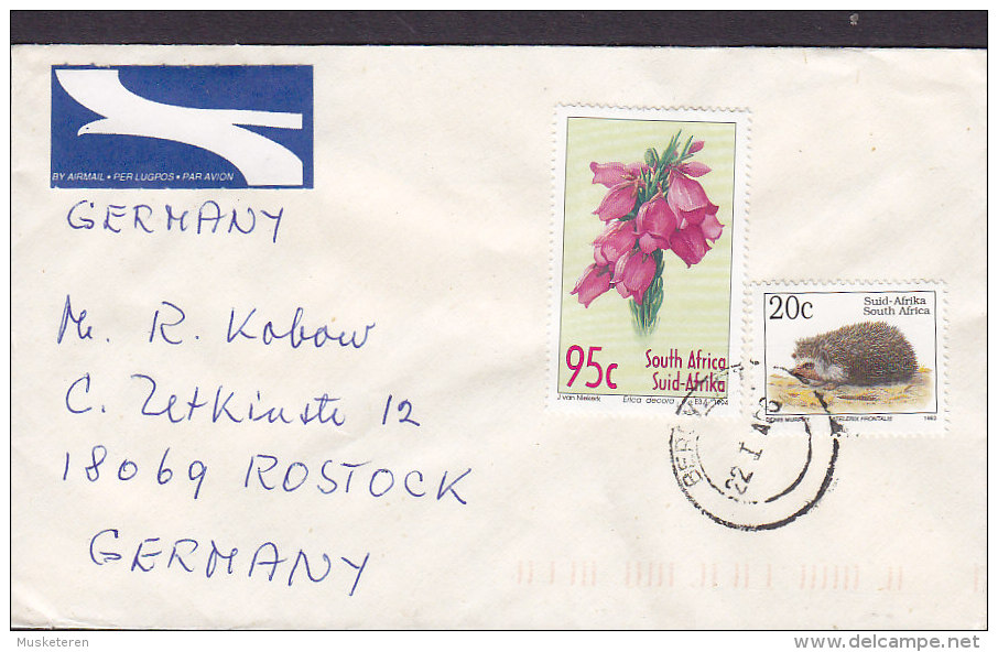 South Africa AIR MAIL Par Avion Lugpos Label BERGVLIET 1996 Cover Brief ROSTOCK Germany Hedgehog Igeln - Luchtpost