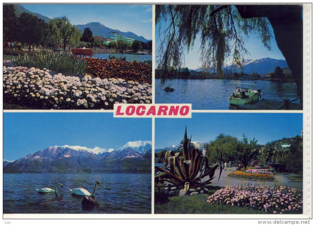 LOCARNO MURALTO - Mehrbildkarte ; Lago Maggiore - Muralto