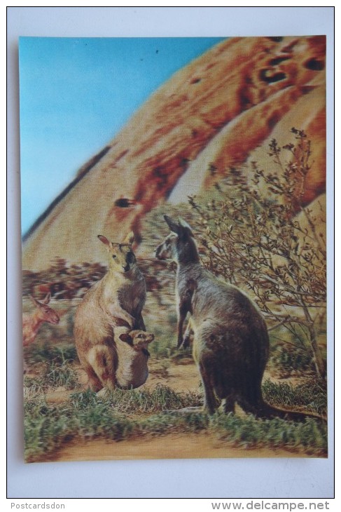 Old Stereo Postcard -  Toppan  3D PC - Kangaroo - Estereoscópicas