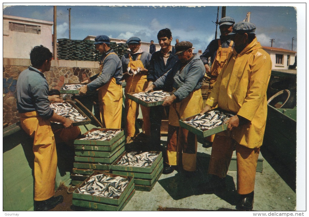 Débarquement De Sardines (n°412 Gaby) Non écrite Timbrée Coq 0,25 - Pesca