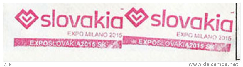 SLOVAQUIE.EXPO MILAN 2015,lettre Postée Du Pavillon Slovaque à Milano Roserio Adressée En Andorre, Avec Tampon Officiel - 2015 – Milan (Italie)