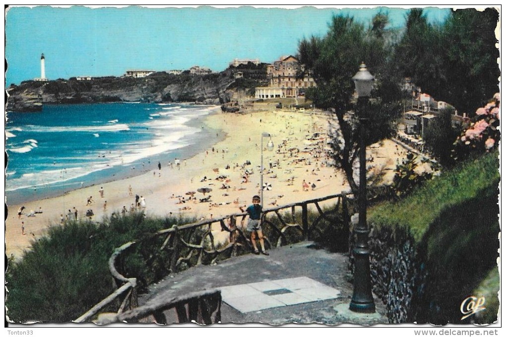 BIARRITZ - 64 -     Carte Couleur - La Grande Plage - Le Phare - Un Enfant Sur La Terrasse - ENCH1202 - - Biarritz