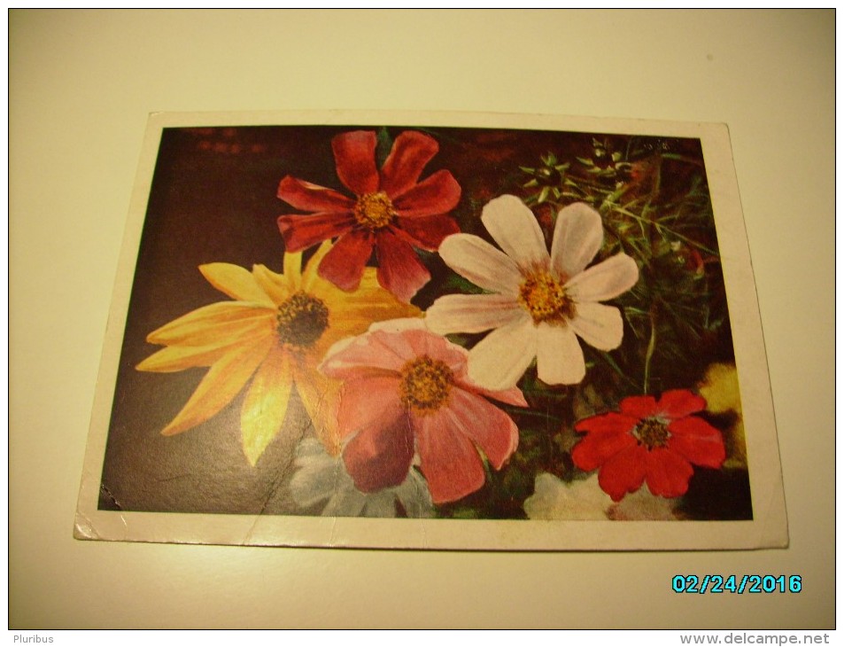 USSR RUSSIA  FLOWERS , 1957 POSTAL STATIONERY POSTCARD ,0 - 1950-59