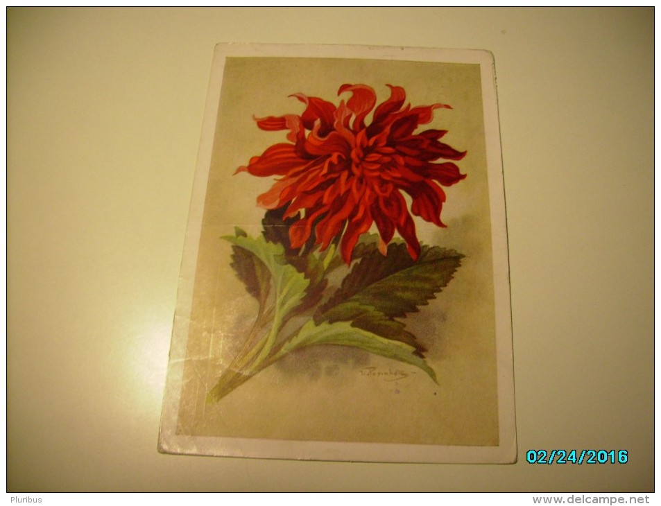 USSR RUSSIA  FLOWERS , 1959 POSTAL STATIONERY POSTCARD ,0 - 1950-59