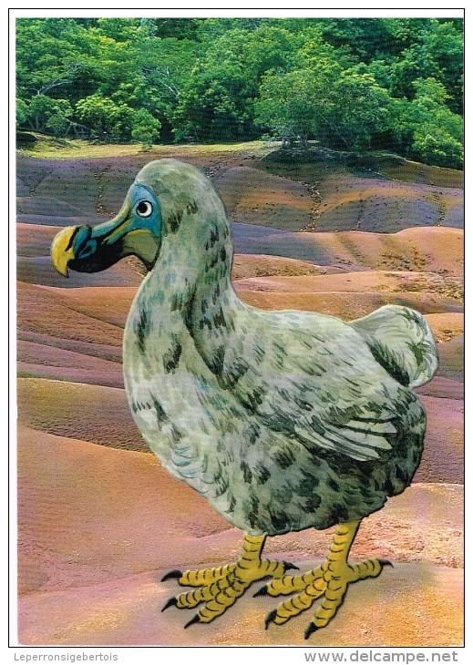 Carte Postale - Maurice -  Mauritius -le Dodo à Chamarel Sur La Terre 7 Couleurs - Mauricio