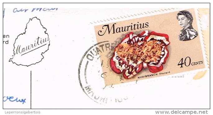 Carte Postale - Maurice -  Mauritius - Port-Louis  - Les Flamboyants Au Jardin Robert Edward Hart - Maurice