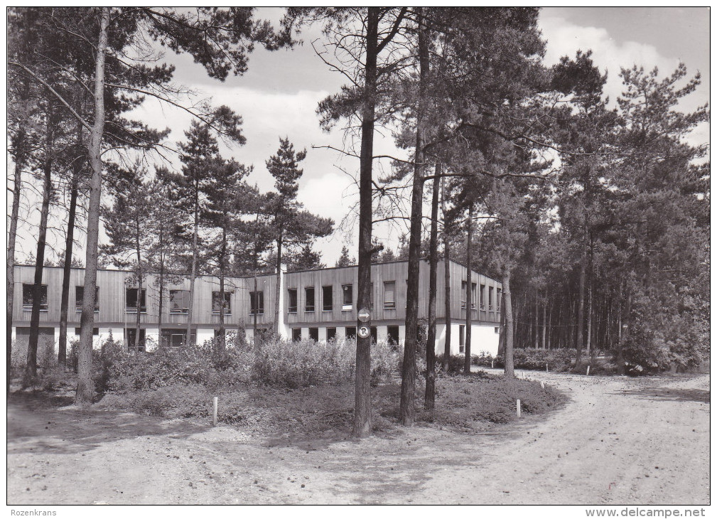 Grote Kaart Westmalle Provinciaal Scoutsdomein Drieboomkensberg - Malle