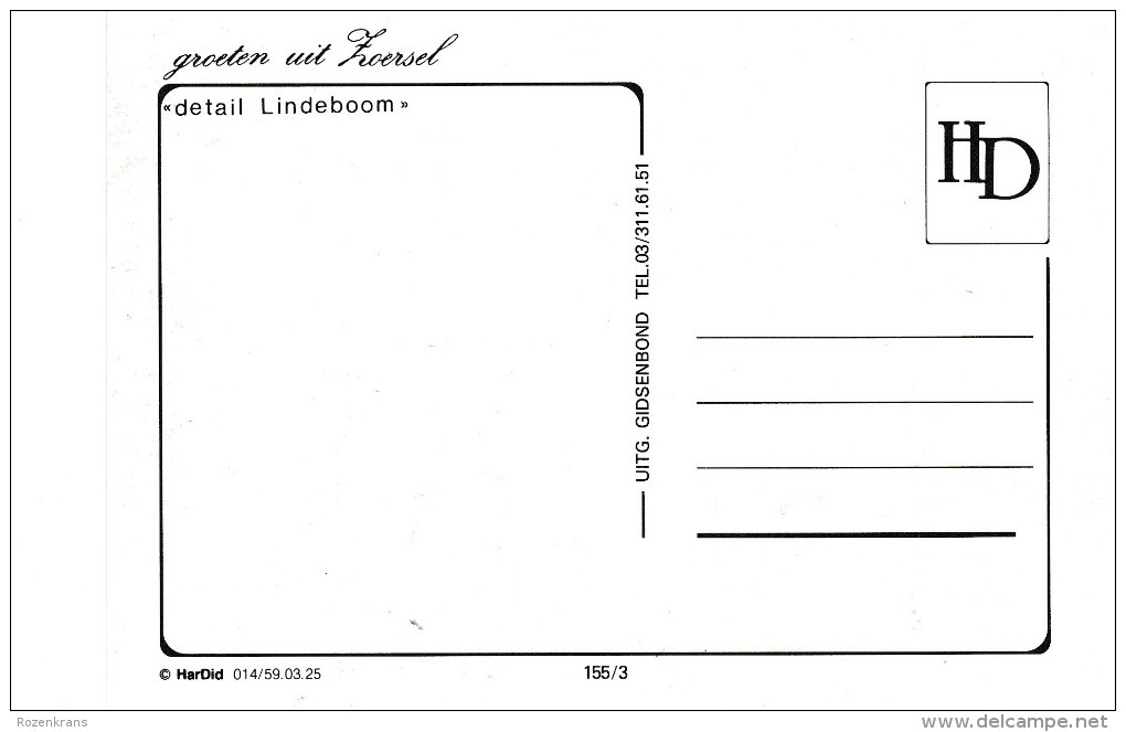 Grote Kaart Groeten Uit Zoersel Detail Lindeboom Kempen Noorderkempen Voorkempen - Zoersel