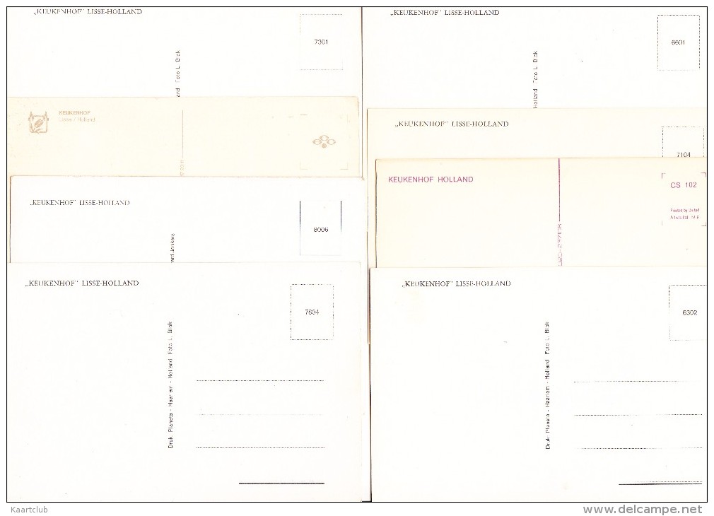 8 ONGELOPEN POSTKAARTEN:  ´Keukenhof´ - TULPEN, LENTE / SPRINGTIME TULIPS Etc. -  Holland - Bloemen