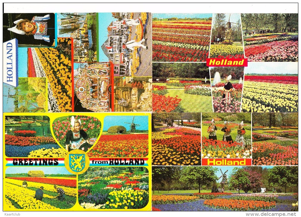 7 MULTIVIEW POSTKAARTEN: 'HOLLAND' & TULPEN, LENTE / SPRINGTIME, TULIPS Etc.  -  Holland / Nederland - Fiori