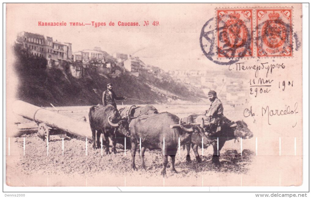 1901 - Post-card  " Types Du Caucase "  Bullock Team - Franking Cancelled Office N°5  From St Petersbourg - Otros & Sin Clasificación