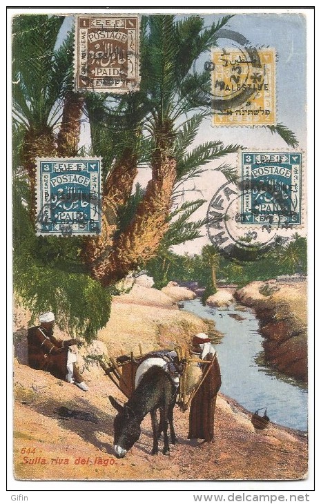 PALESTINE, ISRAEL, SULLA RIVA DEL LAGO, NICE STAMP - Palestine