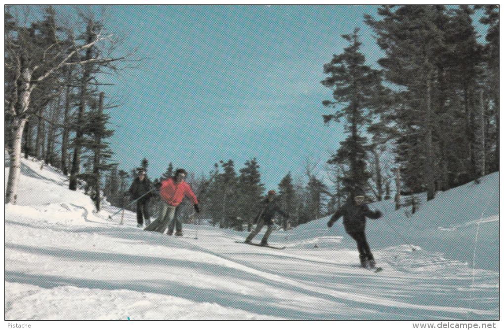 Magog Québec Canada - Skiing - Ski Alpin - Mont Orford Mount - Winter - Photo Catchpaugh - 2 Scans - Other & Unclassified