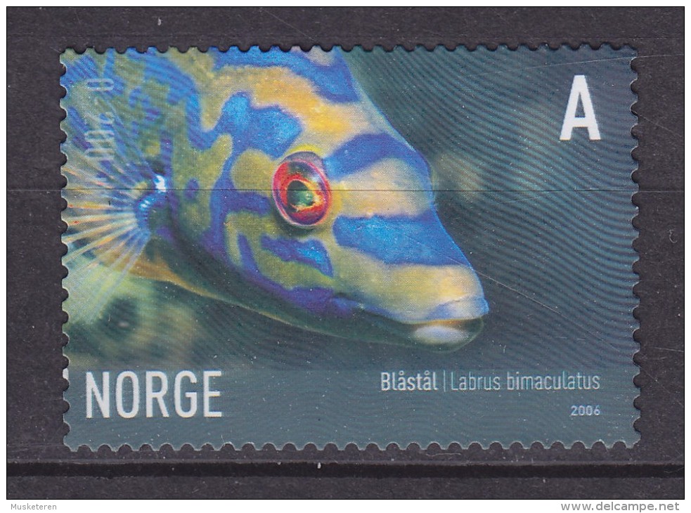 Norway 2006 Mi. 1590    A Meerestier Kuckcuckslippfisch, MNG - Unused Stamps