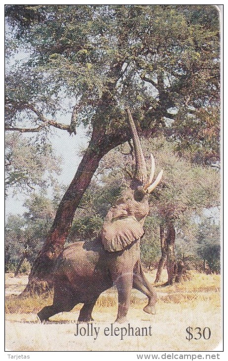 TARJETA DE ZIMBAWE DE UN ELEFANTE (ELEPHANT) - Simbabwe