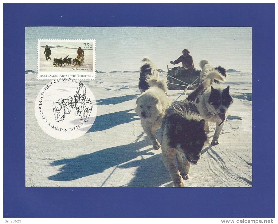 AAT  1994  Mi.Nr. 99 , Husky Teamon Sea Ice Near Mawson - The Last Husky - Maximum Card - First Day  13 January 1994 - Maximum Cards