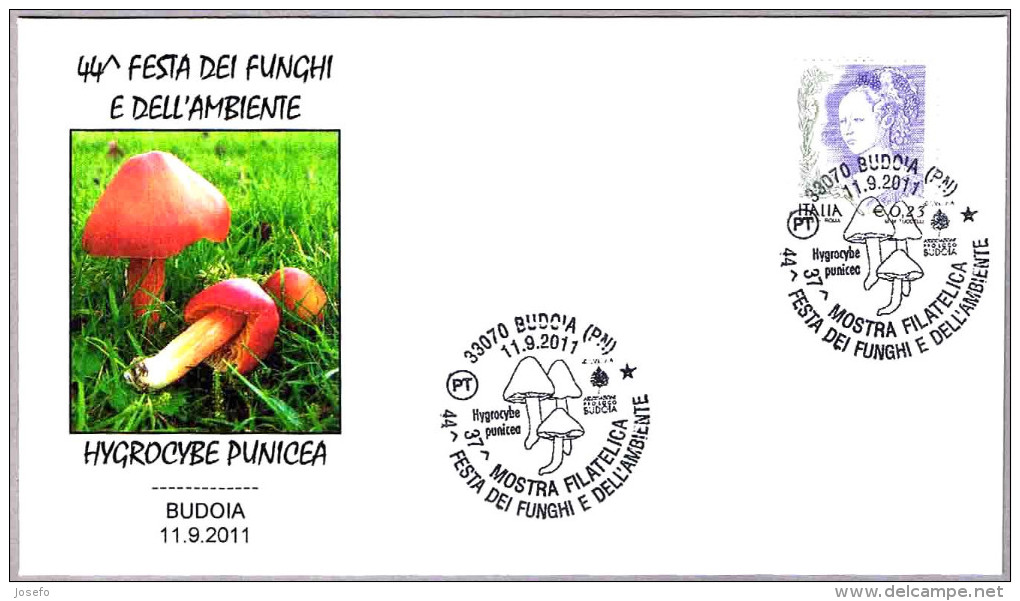 Seta HYGROCYBE PUNICEA - Mushroom. Budoia, Pordenone, 2011 - Champignons