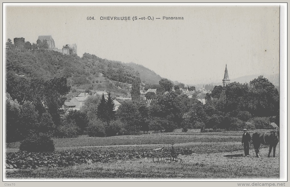 CHEVREUSE - PANORAMA - Chevreuse