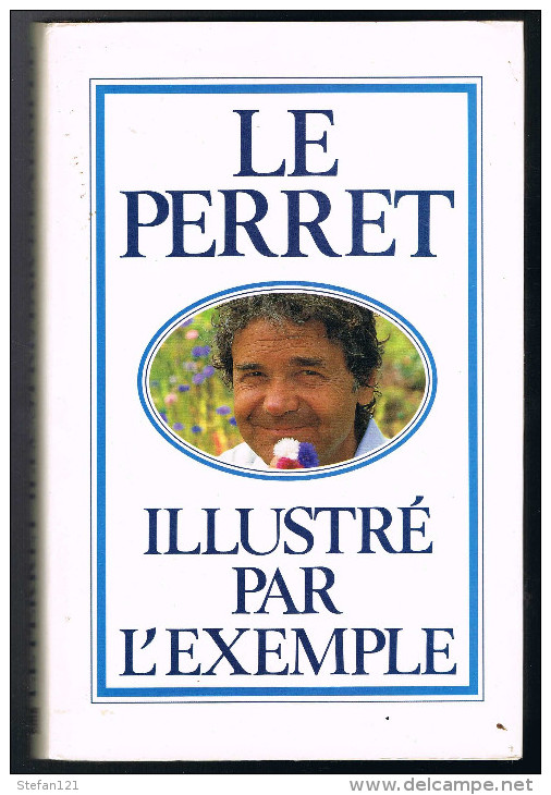 Le Perret Illustré Par L'exemple - 1991 - 380 Pages 24,8 X 16 Cm - Dictionaries