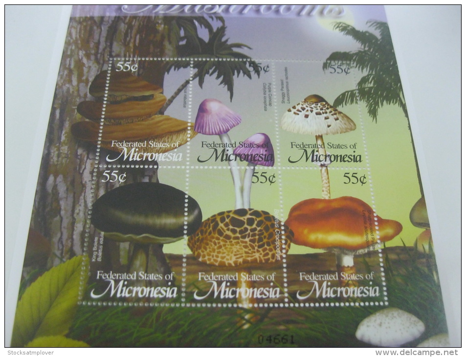 Micronesia-Mushrooms - Champignons