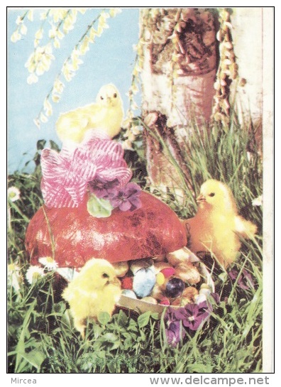 4714 - Roumanie Env.1970 - Dressed Animals