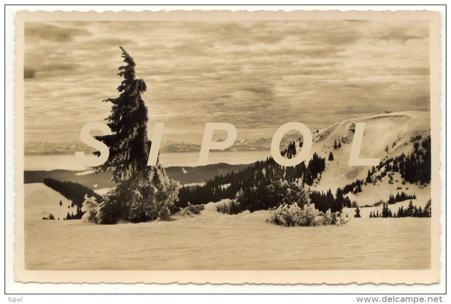 Feldberg Schwarzwald 1495 M  Blick Auf Herzogenhorn Und Alpen  Carte Photo Sépia Dentelée 1935/38 Env TBE 9  X 14 Cm - Ditzingen