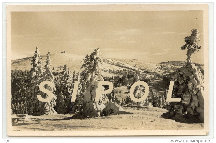 Feldbergmassiv Von Stübenwasen Gesehen  Sépia  Carte Photo 14x 9 Cm TBE - Ditzingen