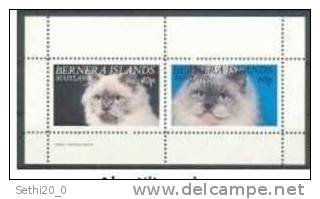 Bernera Islands  Cat / Chat  Sheetlet - Chats Domestiques