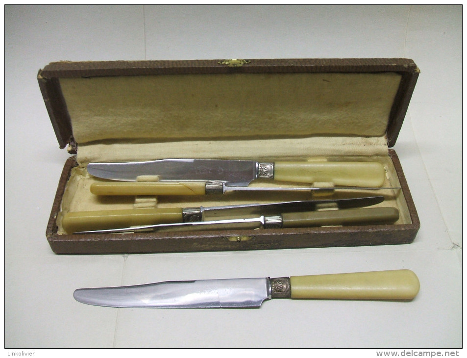 Coffret De 5 COUTEAUX En Corne LE LEOPARD - Knives