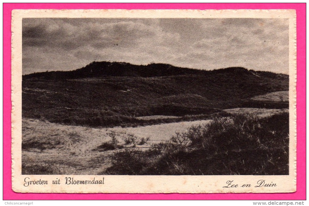 Groeten Uit Bloewendaal - Zee En Duin - 1949 - JOHMA - Bloemendaal