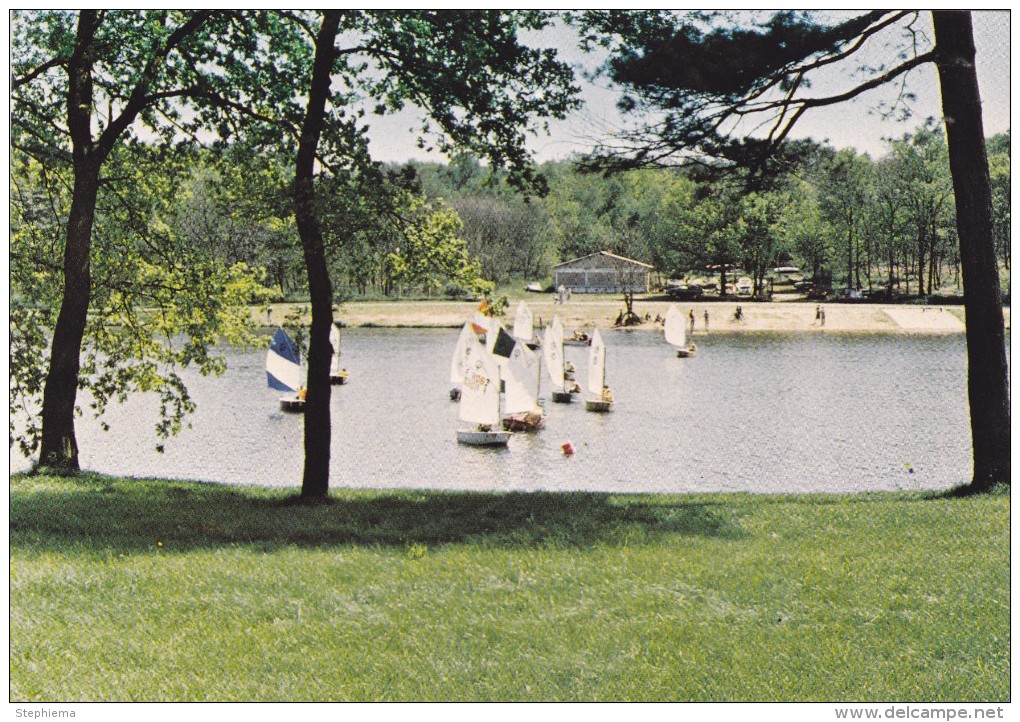 Carte Postale, Le Plan D'eau, Creutzwald - Creutzwald