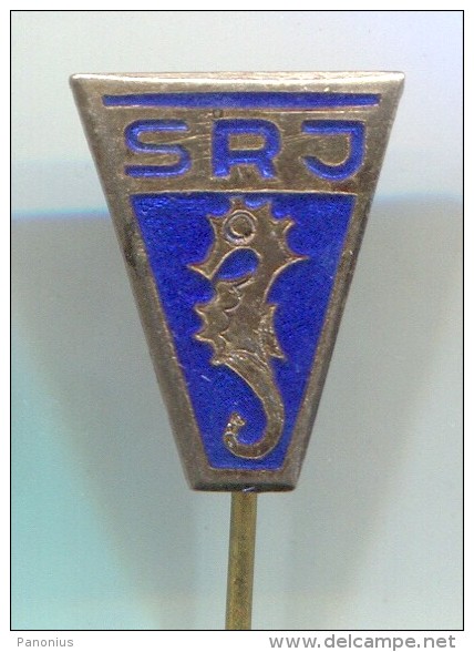 DIVING - Underwater Activities, RSJ Yugoslavia Association, Vintage Pin Badge, Enamel - Duiken