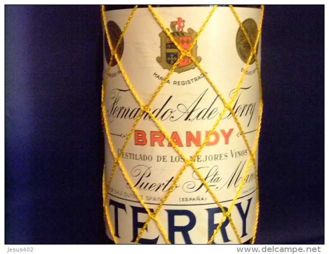 ANTIGUA BOTELLA BRANDY TERRY CENTENARIO LITRO VINTAGE 1970 / 1975 - Licor Espirituoso