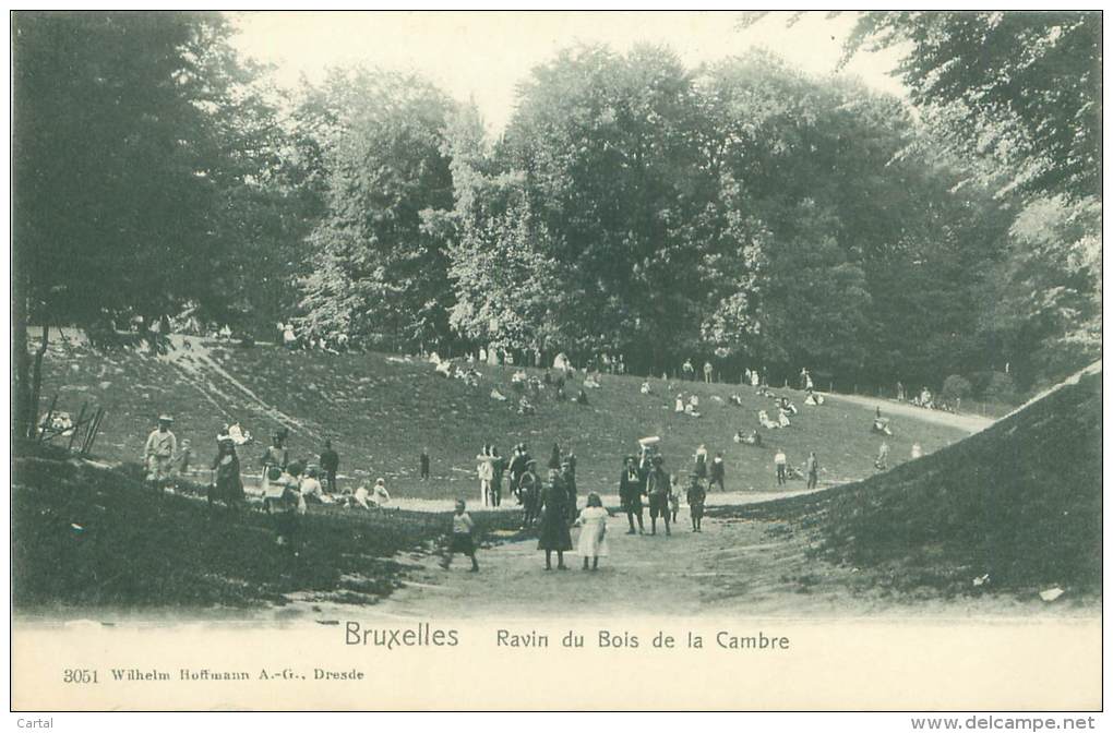 BRUXELLES - Ravin Du Bois De La Cambre - Bossen, Parken, Tuinen